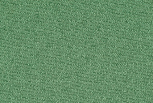 Suzette Celery39